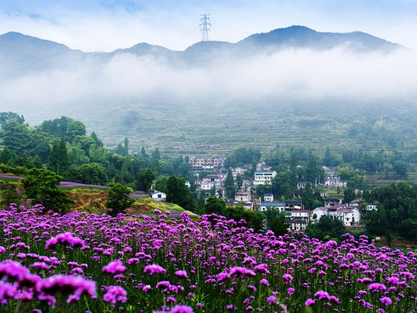 浙里办|不出省！乘着杭台高铁游天台美景，春节前凭高铁票半价