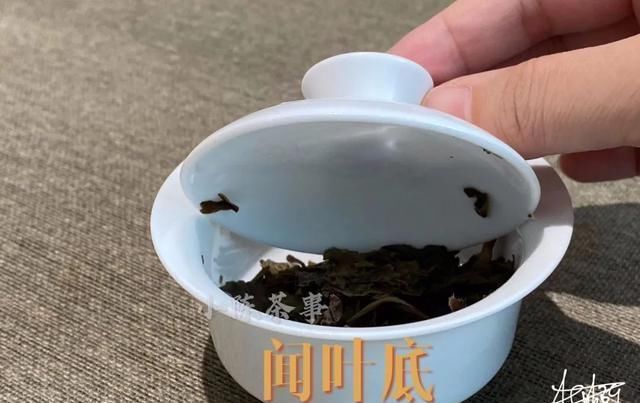 茶友|别单纯看黄叶片了，鉴别做旧老白茶用这个新招术，老茶友们都在用