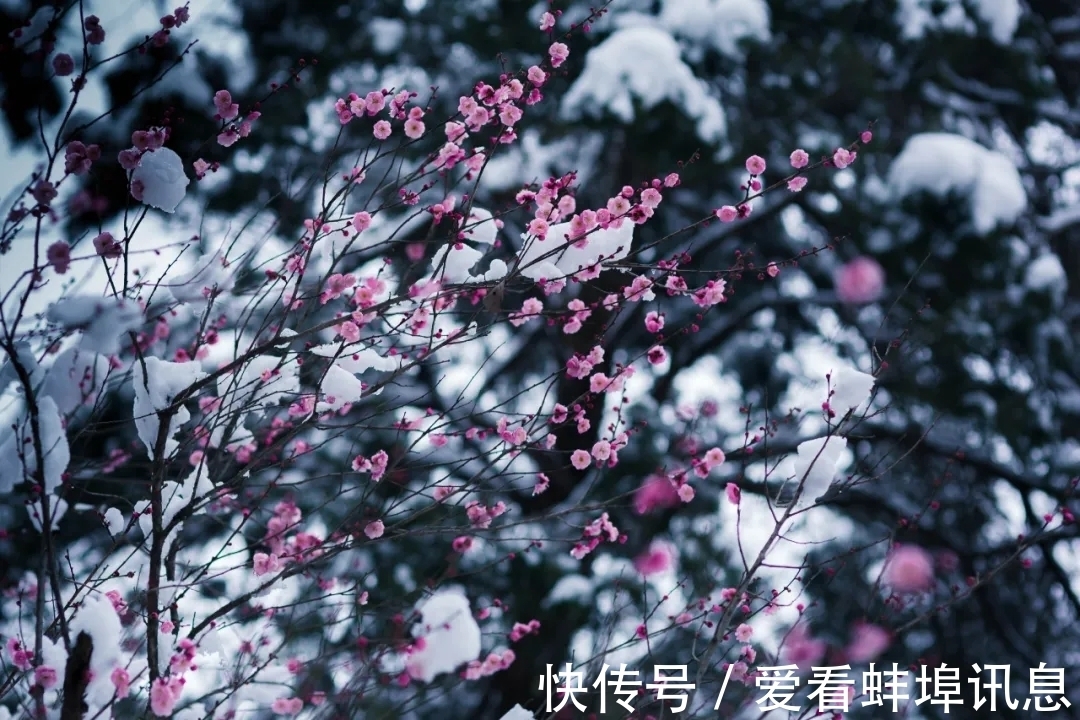 磨衲赞#16个冬天的成语,原来都出自诗词,美极了