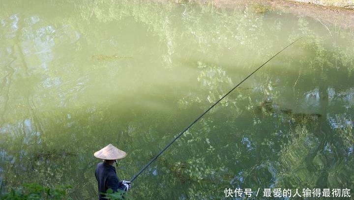 钓春鲫,判断鲫鱼是不是已经离底了,看这两个迹象就足够了