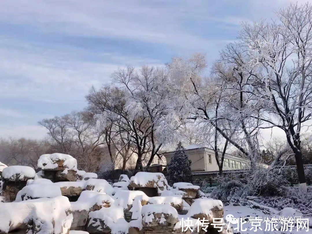 北京冬奥会|美翻了，北京这个地方开始造雪景啦