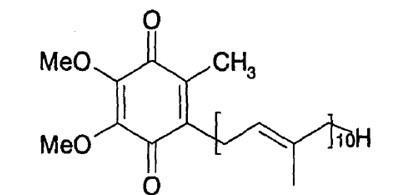功效|辅酶Q10的功效第3个更吸引人[水信生物]