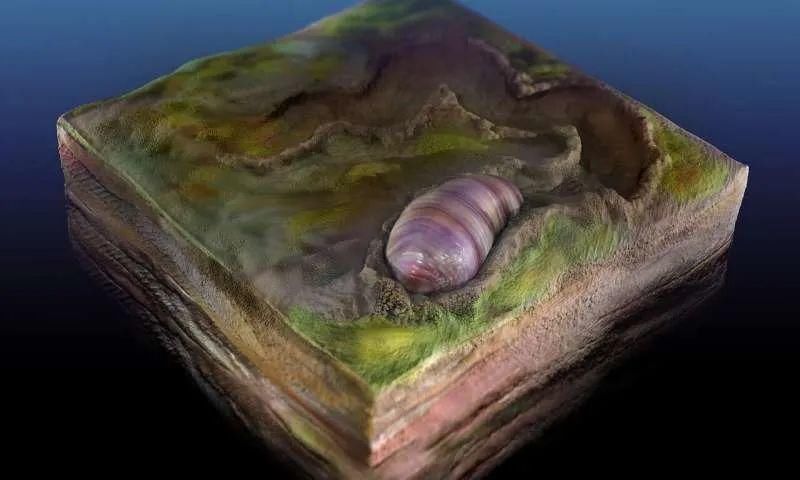 2020年十大科学发现