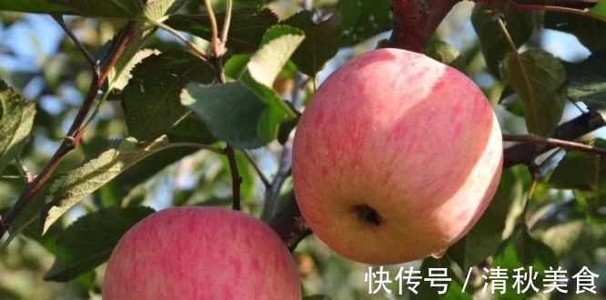 身体|早上空腹一个苹果的人,身体不会差,但要警觉“两不”,早知早好