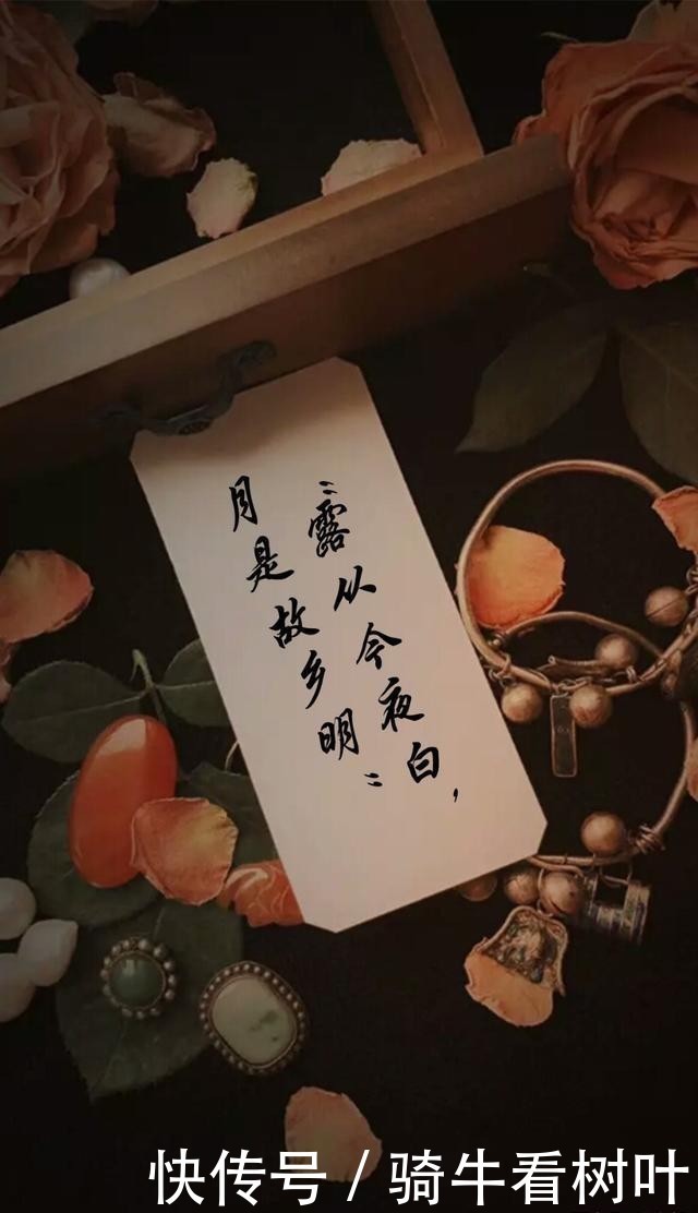 故乡|《冬至未至》：露从今夜白，月是故乡明
