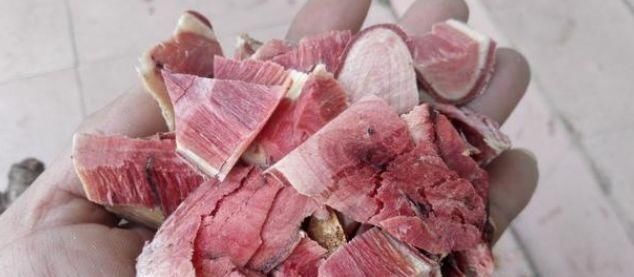 药用|这植物,山上很多,却常被忽视,知道药用的甚少,不知你认识吗