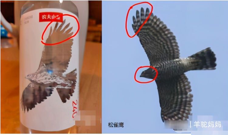 孩子|5年级男孩因发现“农夫山泉”错误，获万元奖励，爱较真的娃太帅