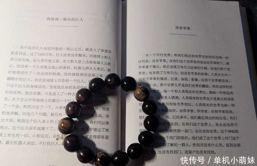 小说家|最自大的天才小说家写了一本最自大的小说