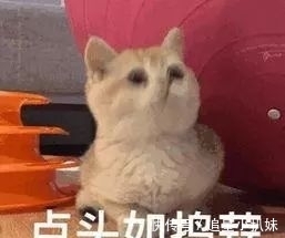 皮肤|长期化妆皮肤会越来越差吗?