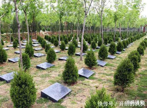 老话说“五树进宅,人穷家败”,为什么这五种树不能种在家里