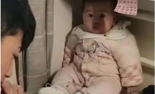 妹妹|吉祥物妹妹火了，哥哥写作业把妹妹摆桌前，妹妹表情太有戏