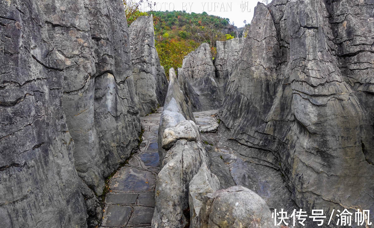 地缝|湖北恩施的标志景点，中国的科罗拉多大峡谷，一辈子一定要来一次