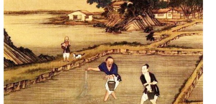 身高|是什么影响了中国人的身高?没有这些原因,古人可能长得更高