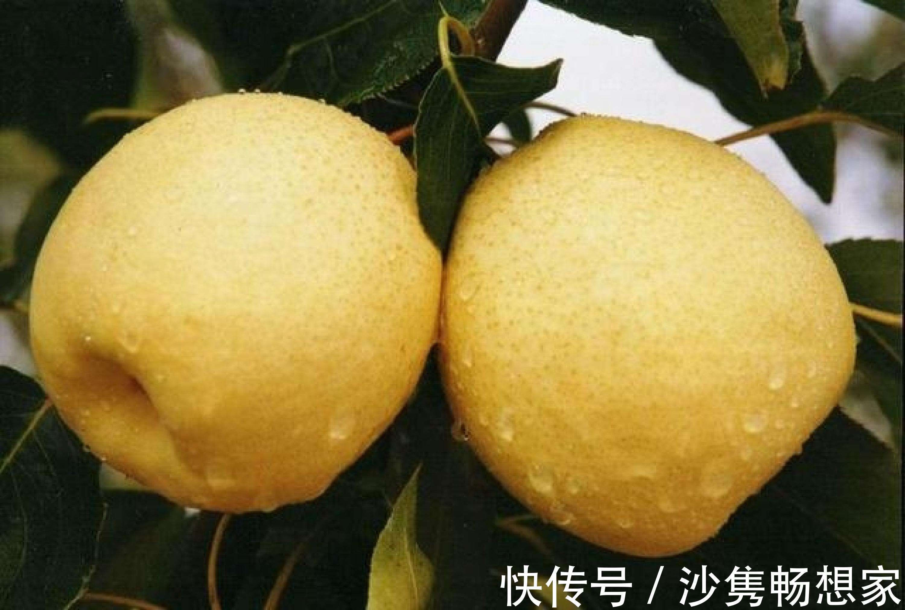 柑橘|高血压患者除了少吃盐,还要少碰3种水果,以免导致血压上升