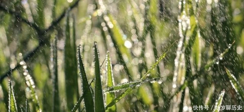 刘伯温的这首七绝咏雨诗,也是难得的佳作,整首诗充满了诗情画意