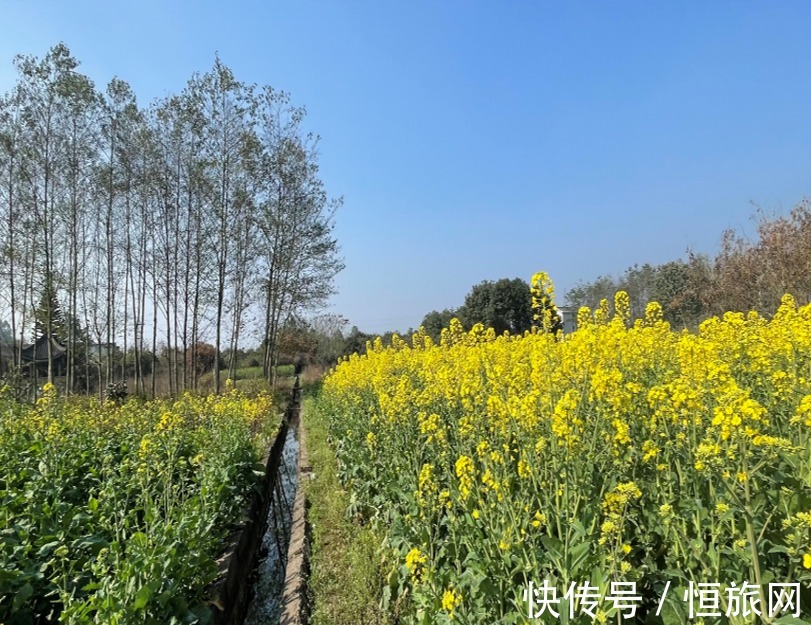 从哪一站上车，开往故乡……|旅博动态 | 示范村