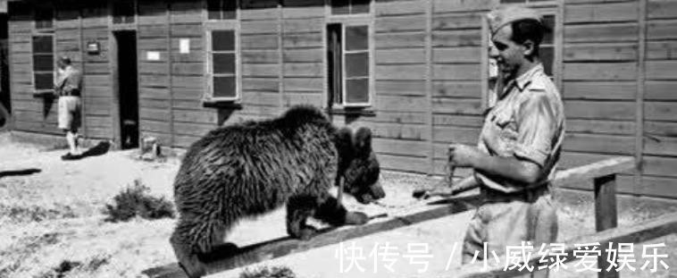 铜雀台赋|夫妻生活多久一次最好?张医生举例说明,简直太形象了!