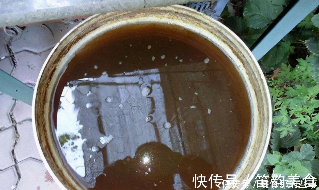 植料|羊粪当植料养花前,掌握住用量、发酵方法,养啥花都能旺