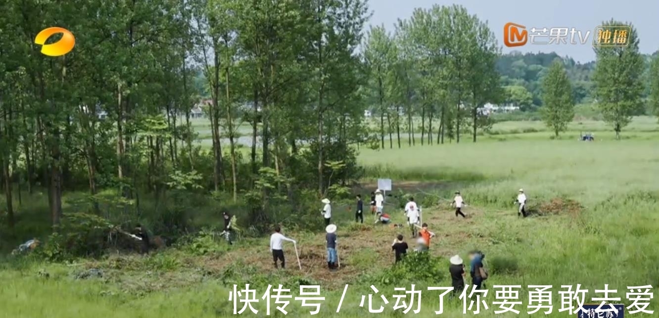 向往的生活5|《向往的生活5》集體勞動種樹，黃雅莉成功出圈，張藝興廣受好評