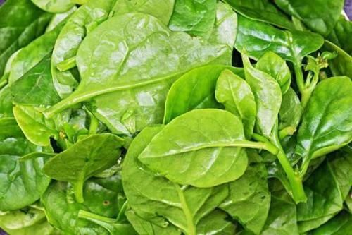 膳食纤维|女性到了中年,常吃3种食物,美容抗衰,养护肌肤,肌肤更水嫩