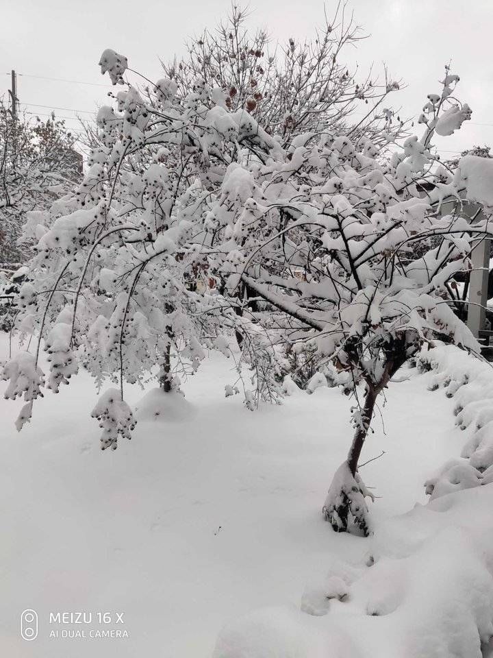 杨克汶|雪｜济南冬天的第二场雪