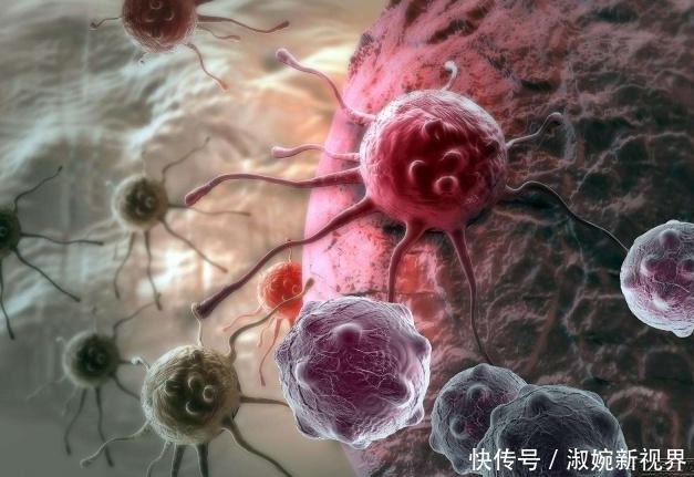 一家三口吃剩菜相继患癌,吃剩菜记住6点,既不