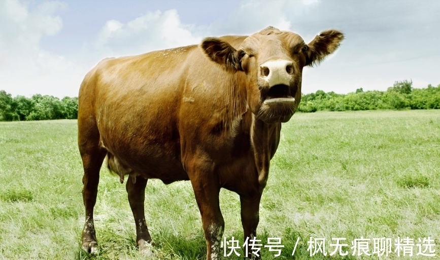 香兰素|7个冷到让你“盖被子”的冷知识，你还别不信，鱼真能淹死！