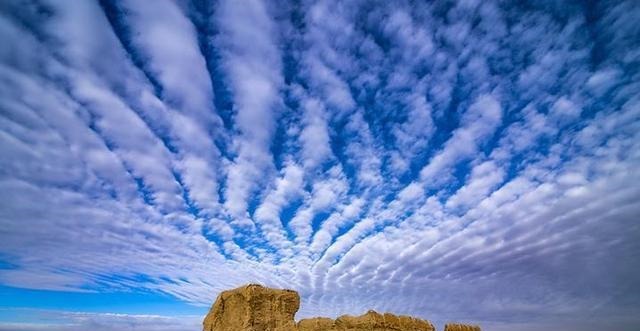 考古|考古人和他们眼中的世界vol.2|汉塞风云