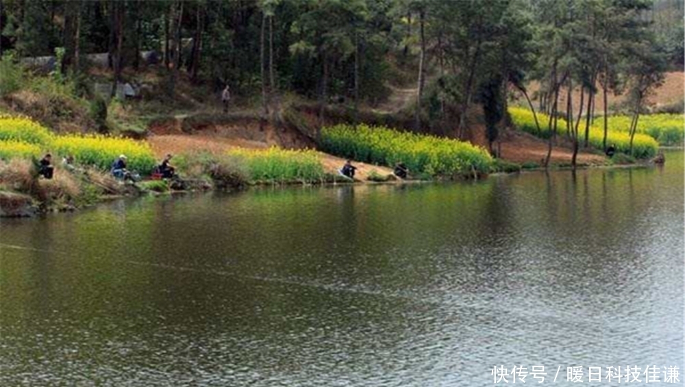 浮漂|双铅钓法原理:钓组有2个铅坠,更重但是更灵敏,适合刮风天使用