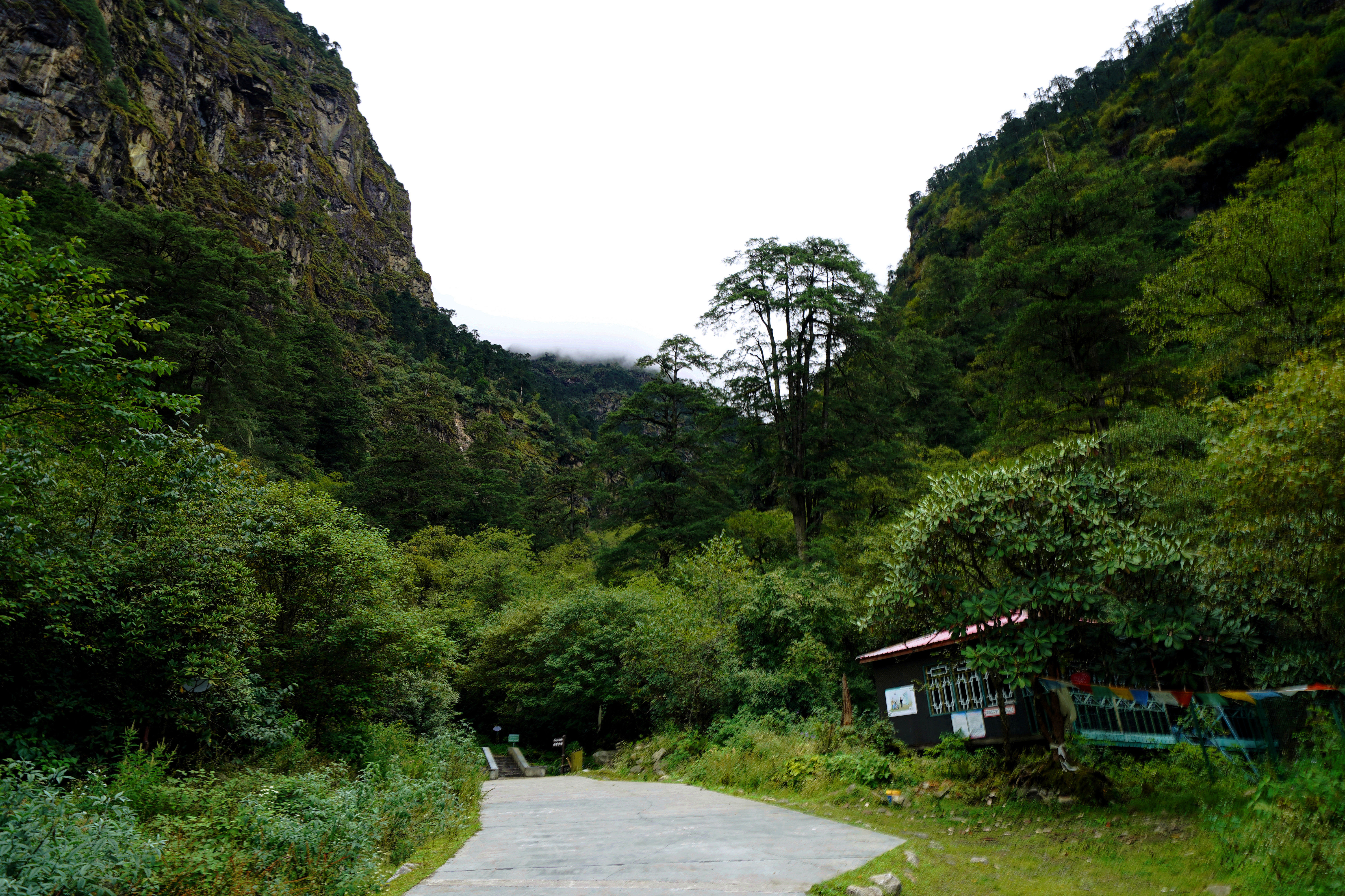 车祸|【80天单人单车环藏之旅】揽胜藏南秘境勒布沟，老司机大意再遇车祸