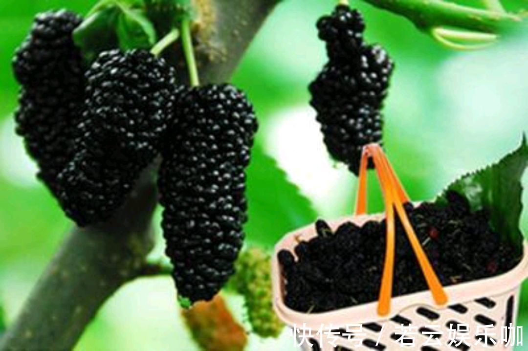 番茄红素|男人夏天逛超市时,碰到5样食物,可以多买点,好吃还营养