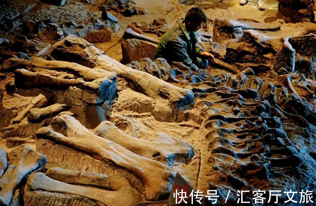 井盐|去年才通高铁,这座“十八线”国内小城,凭什么就火到了国外?