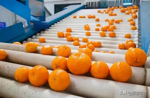 水果|为何儿童患白血病越来越多?专家:家长尽量别给孩子吃这3种水果