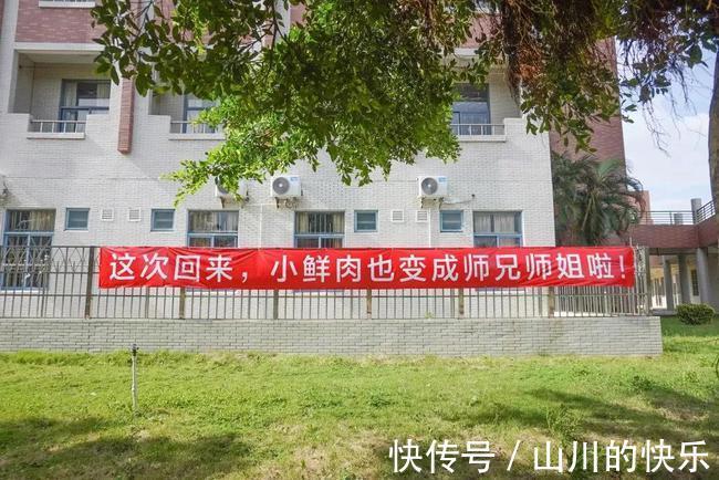 |幽默又搞笑的大学校园横幅，你见过吗？