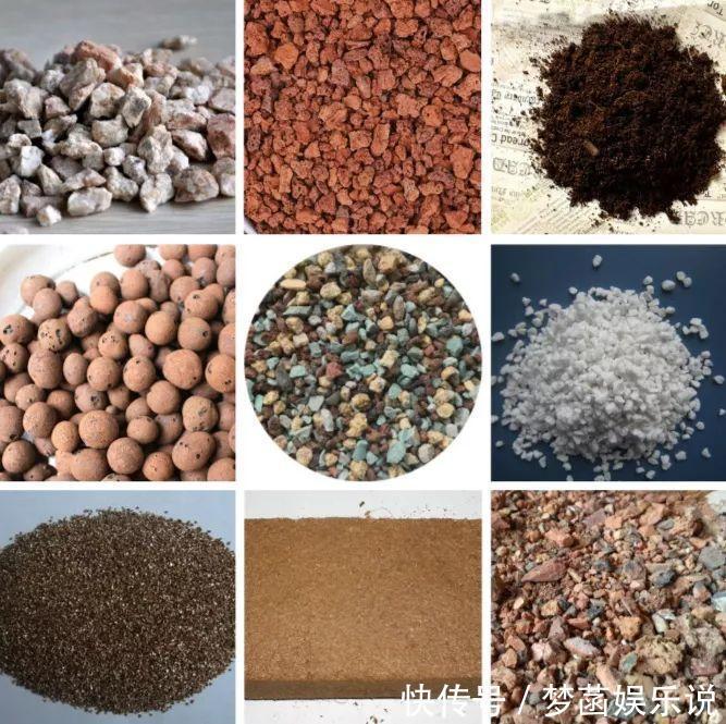 多肉|养多肉怕积水、烂根？用“2种东西”来养，再浇水都不怕