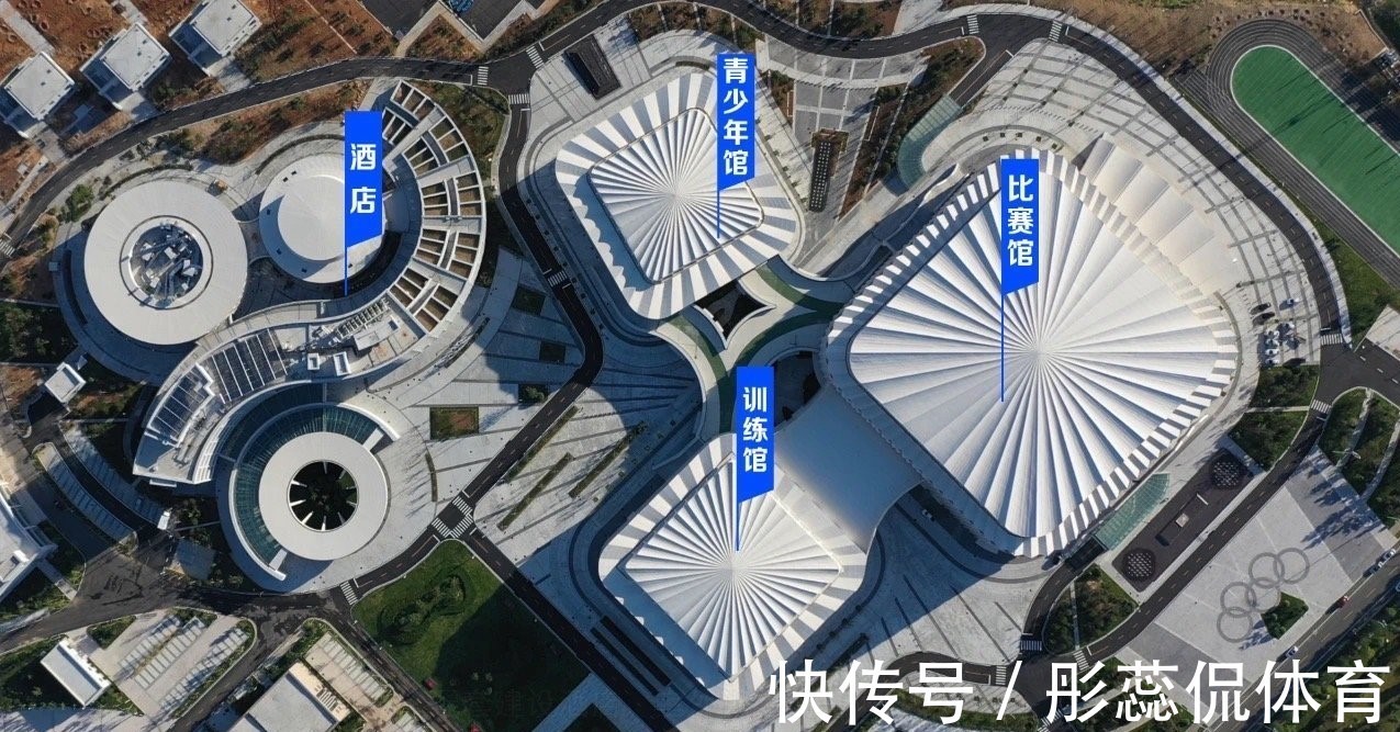 郭斌|一人一套合院,王楠要送国乒7套房,丈夫郭斌:她快乐是我的目标