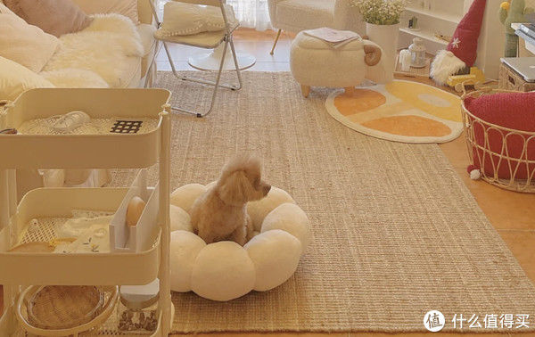 马桶垫|热衷“断舍离”的日本主妇，靠超强收纳，把日子过得清爽又干净