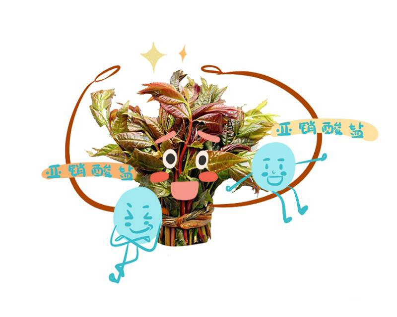 营养成分|春风又绿江南岸!最野的春天,可能就藏在这4道春菜里