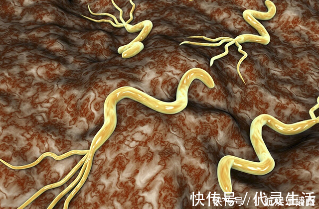 胃部|消化科大夫：水里加一物，坚持3周，冲走幽门螺杆菌，胃病自破