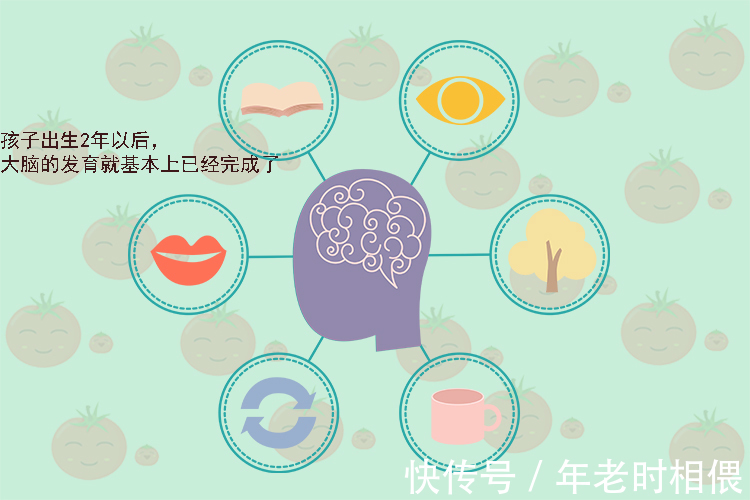 口欲期|两岁内的孩子有这些“坏毛病”,家长别着急阻止,对大脑发育好