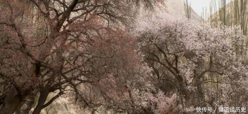 家家雨&宋朝这位诗人典型的诗红人不红,但一首诗却是流芳百世,成为名篇