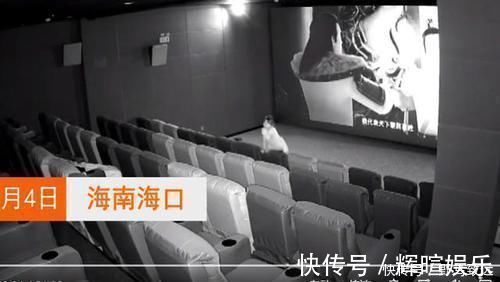 袒护|熊孩子踢坏影院屏幕,面对上万损失,家长:娃不懂事踢的!赔啥!