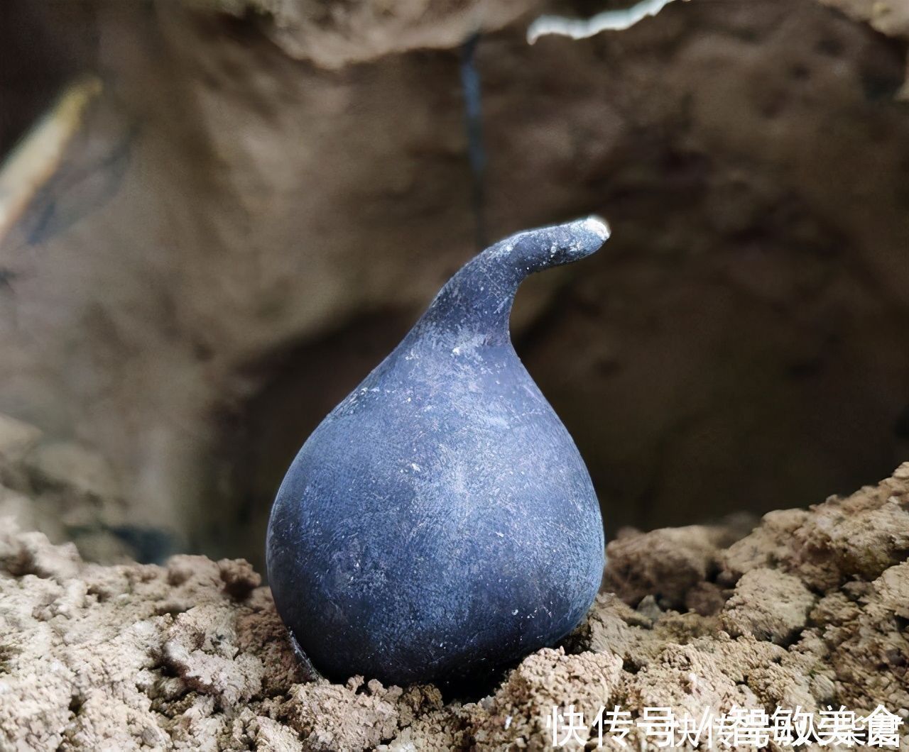 长在白蚁窝里的菌类,价格比黄金还贵,