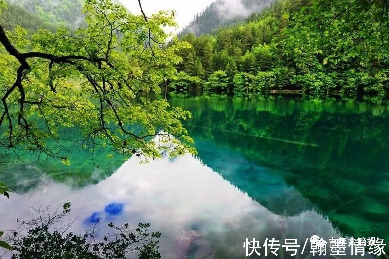 公仪#《道德经》:不逾越规矩,不欺瞒因果,方是人生智慧