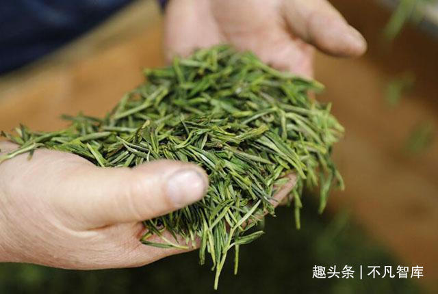 行业|为何茶叶店几乎没有顾客,却能照常营业而不倒闭内行人道出门道