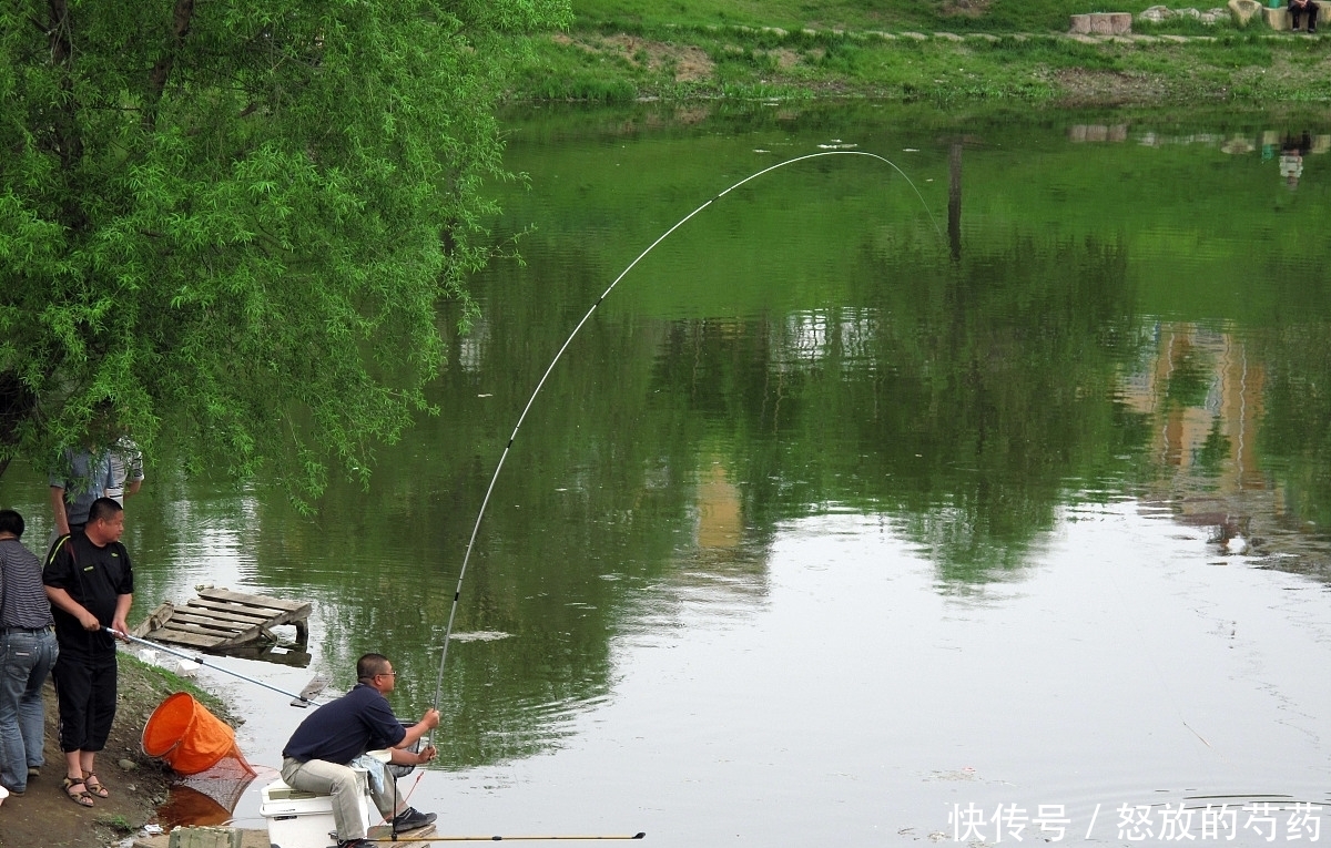 钓位|虽然水草处钓鱼效果不错，但忽视这5点，同样等于“”瞎胡跑”