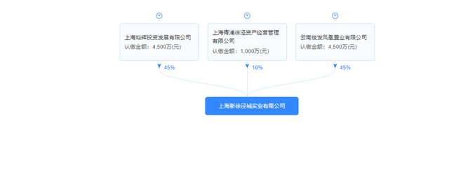 捆绑国企底价拿地，两家“新面孔”房企打造俊灿星城入市|测评| 房企