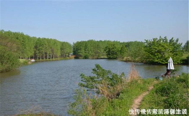 野钓中的绝佳钓位,钓鱼人的必争之地,随便选哪个,渔获都有保证