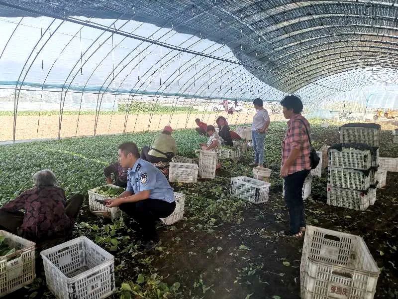 蜀黍|节日我在岗丨这些地方太火了！蜀黍纷纷来“打卡”……