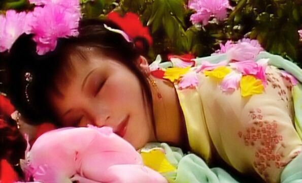 螃蟹|被王熙凤拦下的两盘螃蟹,藏着贾府姨娘们不为人知的心酸人生